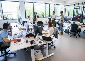 Công việc của nhân viên văn phòng trong một tổ chức là gì?