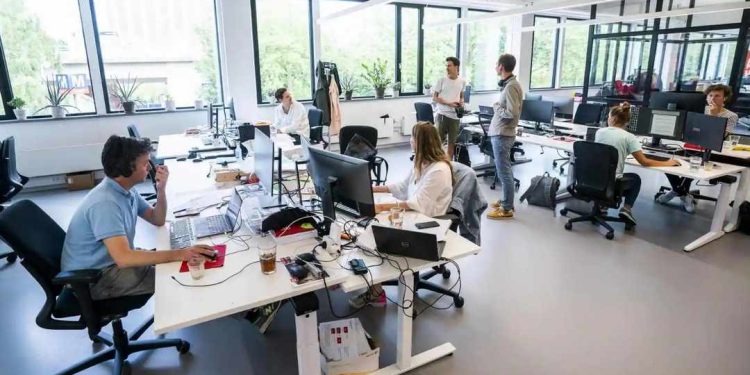 Công việc của nhân viên văn phòng trong một tổ chức là gì?